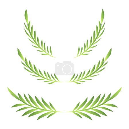 green leaves of fern. vector illustration.