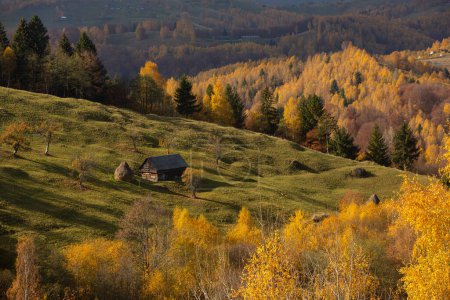 Colorful autumn landscape in the mountain village. Foggy morning in the Carpathian Mountains in Romania. Amazing nature.