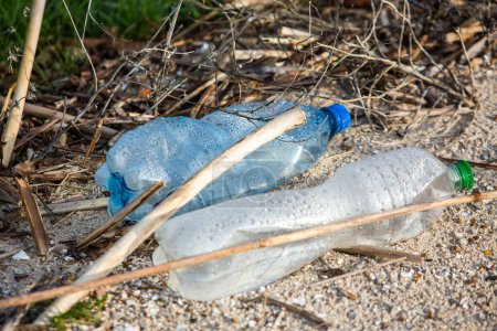 Plastic bottle on the shore of the lake. Environmental pollution. Plastic waste on the beach.