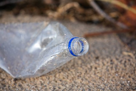 Botella de plástico en la orilla del lago. Contaminación ambiental. Residuos plásticos en la playa.