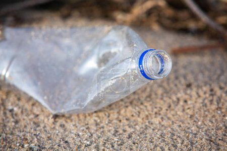 Bouteille en plastique sur la rive du lac. Pollution de l'environnement. Déchets plastiques sur la plage.