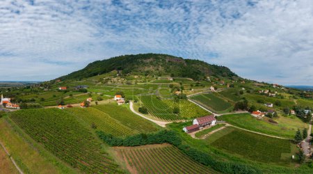 Téléchargez les photos : Photo aérienne panoramique sur la colline de Somlo avec vignobles et ciel nuageux. - en image libre de droit