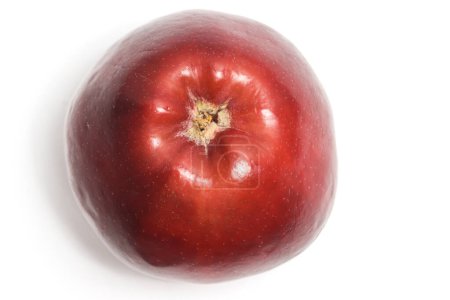 Fresh organic red apple delicious fruit side bottom isolated on white background clipping path