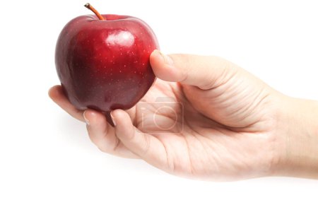 Hand holding fresh organic red apple delicious fruit isolated on white background clipping path