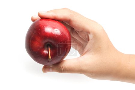 Hand holding fresh organic red apple delicious fruit isolated on white background clipping path