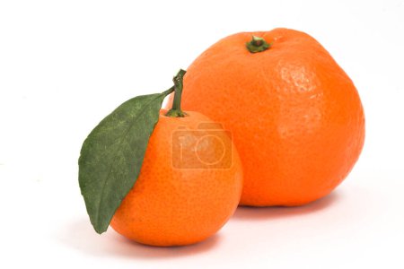 Photo for Two fresh organic orange delicious fruit side view with green leaves isolated on white background clipping path - Royalty Free Image
