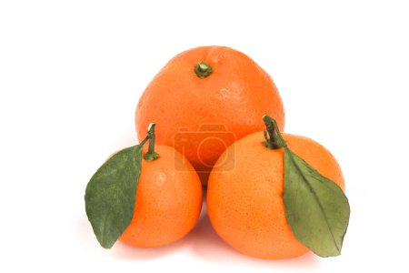 Three fresh organic orange delicious fruit side view with green leaves isolated on white background clipping path