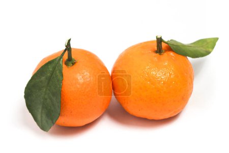 Photo for Two fresh organic orange delicious fruit side view with green leaves isolated on white background clipping path - Royalty Free Image