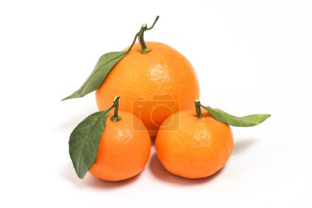 Three fresh organic orange delicious fruit side view with green leaves isolated on white background clipping path