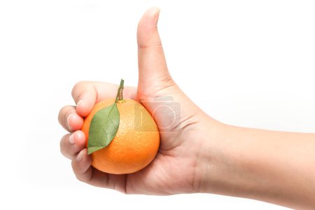 Hand holding fresh organic orange delicious fruit with green leaves and thumb finger isolated on white background clipping path