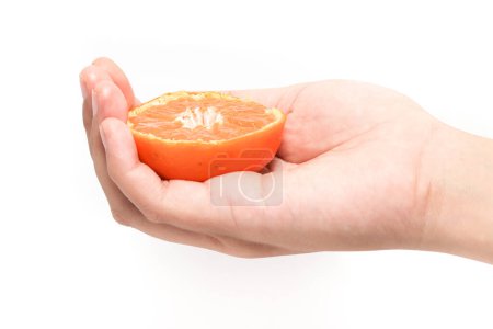 Hand holding half cut sliced fresh organic orange delicious fruit isolated on white background clipping path