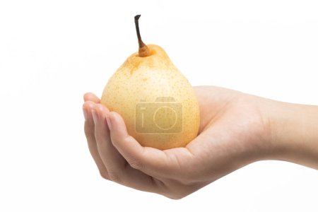 Mano sosteniendo fresca pera amarilla orgánica deliciosa fruta aislada en el camino de recorte de fondo blanco