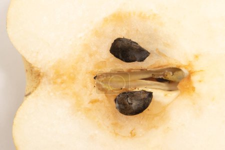 Close-up medio corte de pera amarilla orgánica fresca deliciosa vista superior de la fruta con semillas aisladas en el camino de recorte de fondo blanco