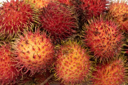 Nahaufnahme frische Bio-Rambutan köstliche Früchte isoliert auf weißem Hintergrund Clipping Pfad