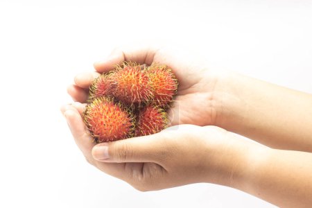 Zwei Hände halten frische Bio-Rambutan köstliche Früchte isoliert auf weißem Hintergrund Clipping Pfad