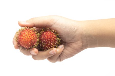 Hand hält zwei frische Bio-Rambutan köstliche Früchte isoliert auf weißem Hintergrund Clipping Pfad