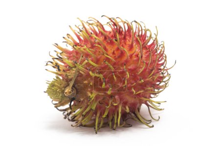 Frische Bio-Rambutan köstliche Früchte isoliert auf weißem Hintergrund Clipping Pfad
