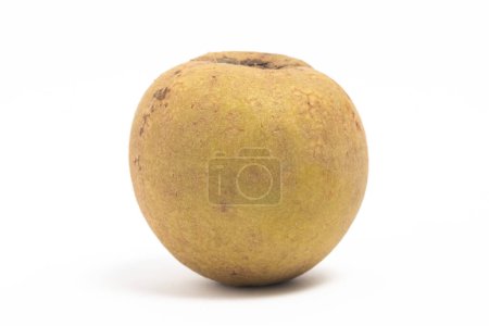 Fresh organic sapodilla delicious fruit side view isolated on white background clipping path