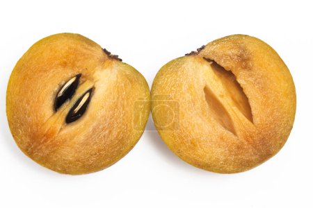 Half cut fresh organic sapodilla delicious fruit top view isolated on white background clipping path