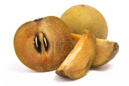Half cut sliced and whole fresh organic sapodilla delicious fruit isolated on white background clipping path