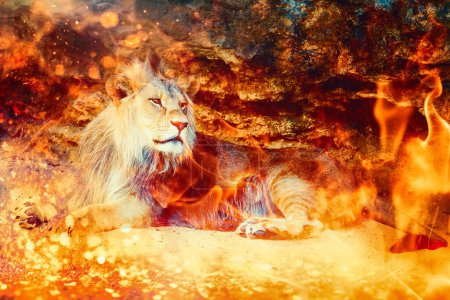 Foto de Majestuoso y radiante, un león blanco se sienta ante un fuego rugiente. Simbolizar la fuerza y el poder - Imagen libre de derechos