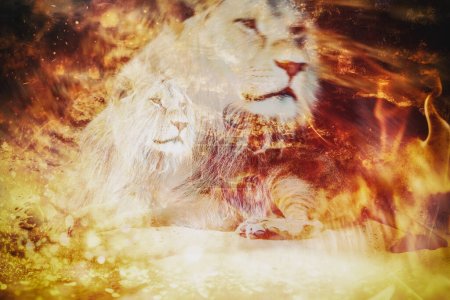 Foto de Majestuoso y radiante, un león blanco se sienta ante un fuego rugiente. Simbolizar la fuerza y el poder - Imagen libre de derechos