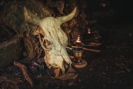 Téléchargez les photos : Crâne d'animal dans une grotte. Espace de cérémonie - en image libre de droit