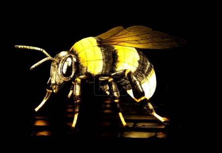 Foto de Un primer plano de una abeja sobre un fondo negro - Imagen libre de derechos