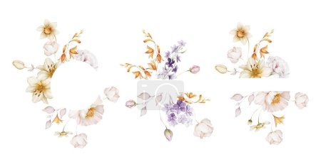 Foto de Conjunto de marcos florales con flores silvestres sobre un fondo blanco - Imagen libre de derechos