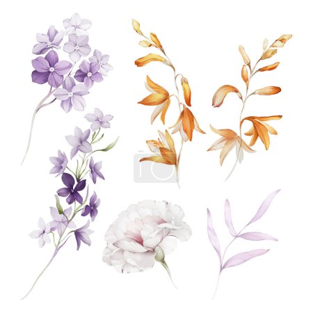 Téléchargez les photos : Ensemble de fleurs sauvages sur fond blanc dans un style aquarelle - en image libre de droit
