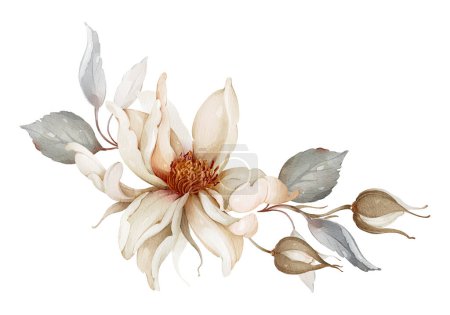 Téléchargez les photos : Arrangement floral avec des roses à fleurs beiges sur fond blanc - en image libre de droit