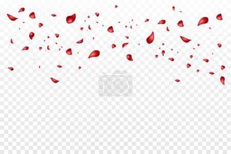 Photo for Falling Rose Petals Isolated On Transparent Background. Vector Illustration - Royalty Free Image