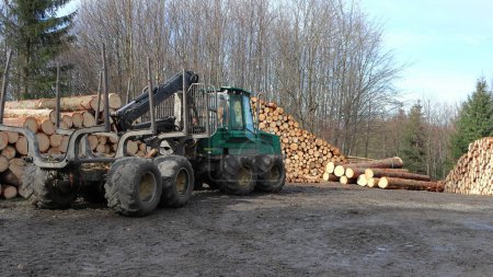 Traktor für die Holzernte und den Holztransport. Baumstämme am Waldrand gefällt. Wald und blauer Himmel im Hintergrund. Holzverarbeitende Industrie.