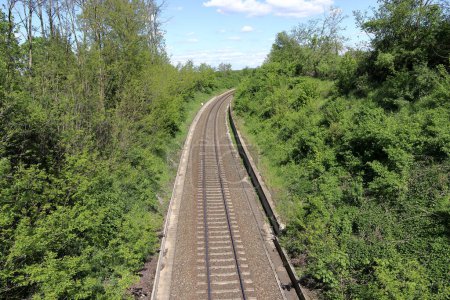 Las vías férreas de acero conducen en medio de un frondoso bosque. La pista gire a la derecha.