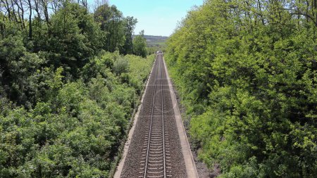 Las vías férreas de acero conducen a la distancia en medio de un frondoso bosque.