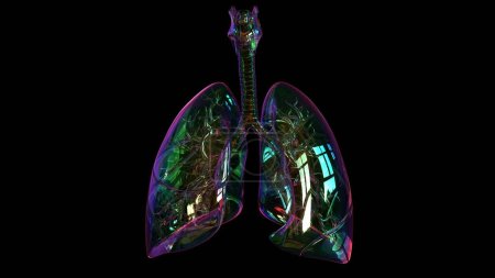 Téléchargez les photos : Human lungs with trachea anatomy for medical concept 3D illustration - en image libre de droit