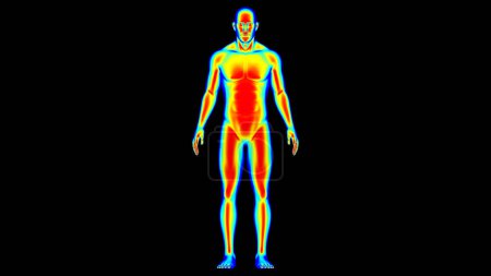 Téléchargez les photos : Température du corps humain Froid chaud et normal. Illustration thermographique homme 3D - en image libre de droit