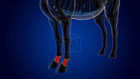 Téléchargez les photos : Anatomie squelette de cheval osseux long pour concept médical rendu 3D - en image libre de droit