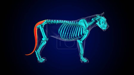 Photo for Tail muscle of lion muscle anatomy for medical concept 3D illustration - Royalty Free Image