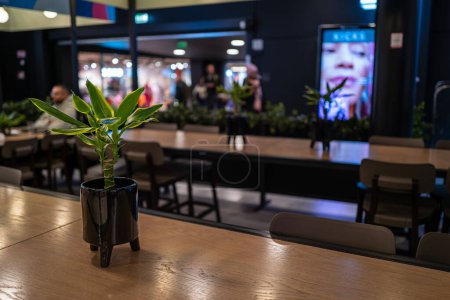 Téléchargez les photos : Intérieur d'un restaurant intérieur avec des fleurs vertes sur une table en bois - en image libre de droit