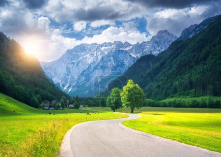Alone trees and road in alpine mountains, green meadows at sunset in summer. View of country road. Colorful landscape with road, rocks, field, grass, blue sky, sunlight, clouds. Logar valley, Slovenia