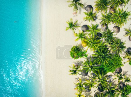 Luftaufnahme von grünen Palmen, Sonnenschirmen am leeren Sandstrand, blauem Meer bei Sonnenuntergang. Sommerreisen nach Kendwa, Insel Sansibar. Tropische Landschaft mit Palmen, weißem Sand, klarem Meer. Ansicht von oben