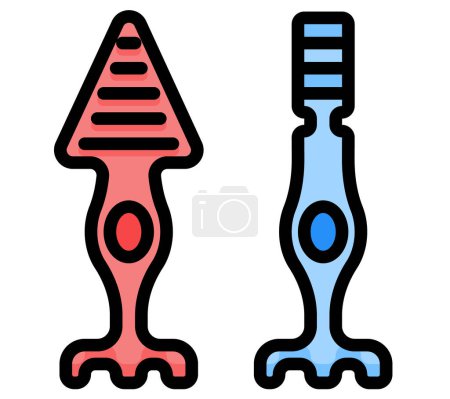 Illustration for Illustration of photoreceptor cell , Rod cell and cone cell for ui ux icon, website, app, presentaion, flyer, brochure etc. - Royalty Free Image