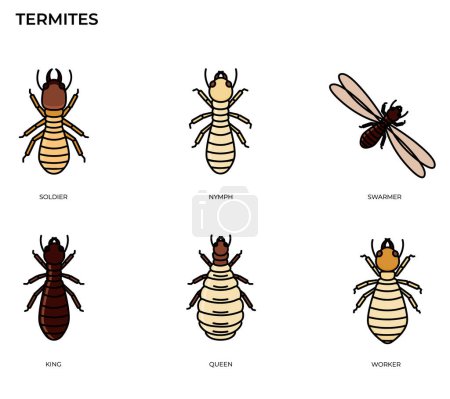 Illustration for Termite icon modern concept ui ux icon for website, app, presentaion, flyer, brochure etc. - Royalty Free Image