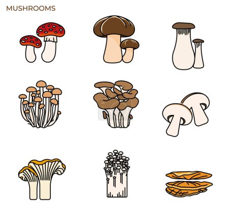 Illustration of mushroom and fungi modern icon concept ui ux icon for website, app, presentaion, flyer, brochure etc.