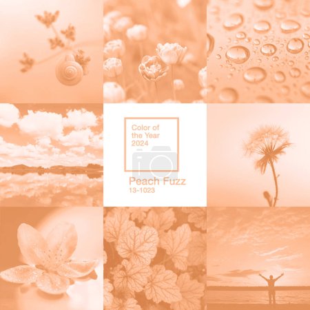 Kreative zarte quadratische Collage inspiriert von Peach Fuzz - Farbe des Jahres 2024.