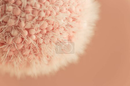 Macro shot of furry abstract ball colored in Peach Fuzz - color of the year 2024.