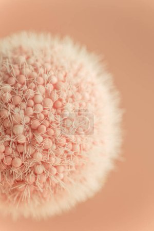 Photo for Macro shot of furry abstract ball colored in Peach Fuzz - color of the year 2024. - Royalty Free Image
