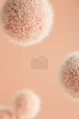 Téléchargez les photos : Macro shot de boules abstraites en fourrure lévitantes colorées dans Peach Fuzz - couleur de l'année 2024. - en image libre de droit