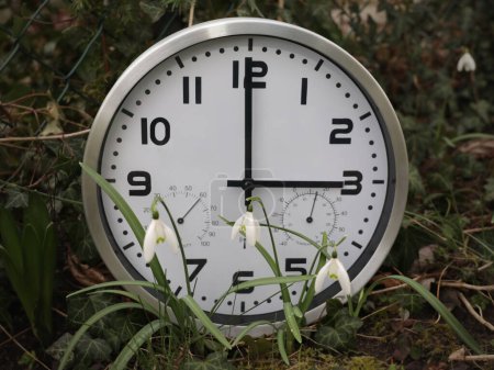 A clock showing three hours stands in snowdrops outside in spring. A symbol for the change of time. Daylight saving time. Moving the hands forward.